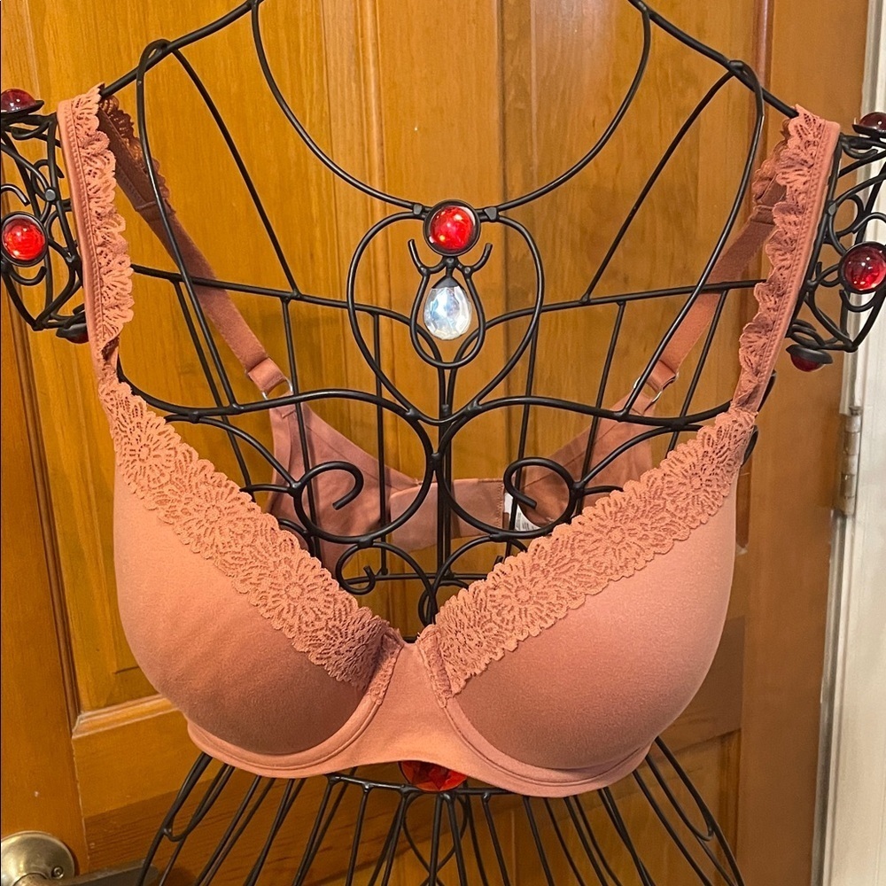 🕊️🕊️🕊️BOGOHO 🕊️🕊️🕊️AERIE Lace Trimmed Bra in Terracotta-36DD